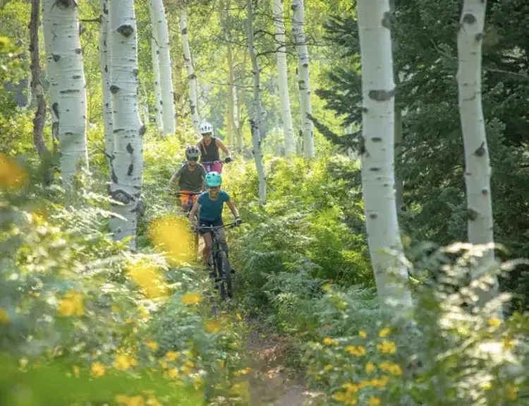 A Mom and her kids biking on a mountain path in the summer, in Steamboat Springs